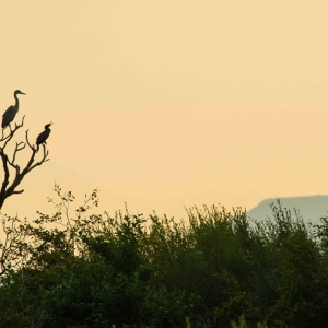 Redwell   Sept   2016 (28 Of 132).jpg